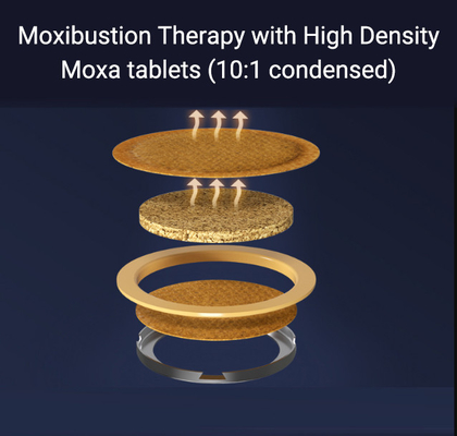 Metodo di coltivazione di piante artificiali Cinque pezzi di compresse di moxibustione per la salute