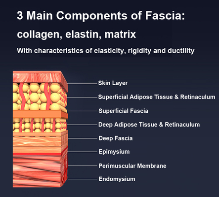 Massaggiatore multifunzionale per la fascia con sistema di riscaldamento EMS e pulsante di controllo della terapia con luce rossa