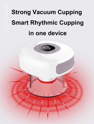 Fitdash Massaggiatore a Vaso di Vaso Lo Strumento Ultimo per la Modernizzazione della Terapia con Bian Stone